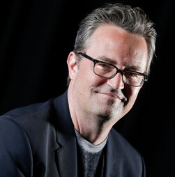 Espólio de Matthew Perry vai a leilão para financiar luta contra a dependência