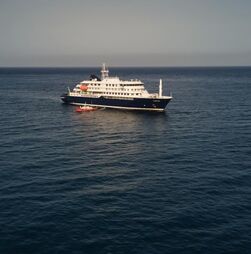 Ministro sul-afrincano revela que hantavírus detetado em navio é a estirpe transmissível entre humanos 