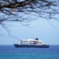 Hantavírus: Passageiro de navio hospitalizado em Zurique