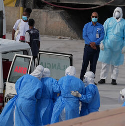 Hantavírus: nova pandemia ou alarme exagerado?