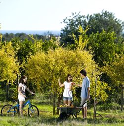Quase 80% dos jovens rurais querem ficar nas suas terras