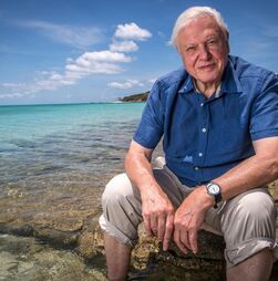 David Attenborough: aos 100 anos, o fascínio pela vida continua 
