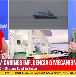Covid-19 e hantavírus 'são dois vírus totalmente diferentes', garante Diretora-Geral da Saúde