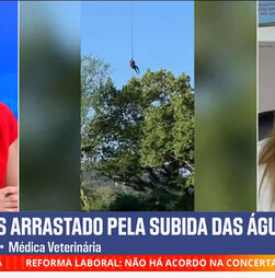 Corpo de português encontrado dentro de crocodilo. 'Não consegue distinguir tipo de proteína'
