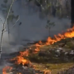 Incêndio florestal de grandes dimensões consome zona de exclusão de Chernobyl após queda de drone