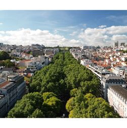 Avenida Open Week regressa de 23 a 29 de maio