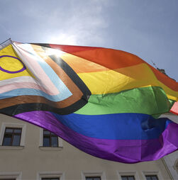 Porto prevê hastear bandeira LGBTQIA+ domingo em frente aos Paços do Concelho