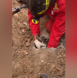 Bombeiros resgatam cabrita presa em tubo subterrâneo em Itália