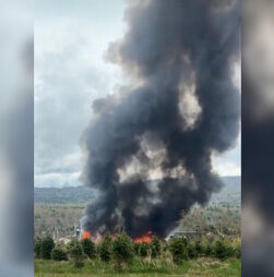 Explosão em serraria faz vários feridos nos EUA