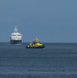 Navio de cruzeiro atingido pelo surto de hantavírus já atracou no porto de Roterdão