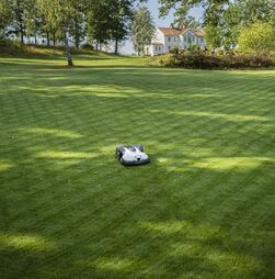Qual é a melhor máquina para cortar o relvado em jardins grandes?