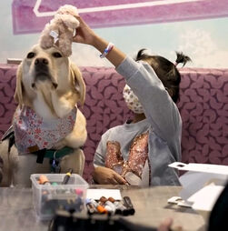 Cães terapeutas ajudam crianças internadas a enfrentar tratamentos hospitalares