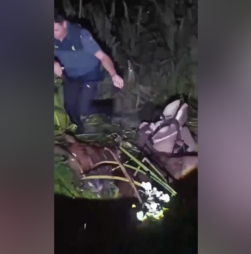 Homem e cavalo resgatados após ficarem presos em zona pantanosa em Espanha
