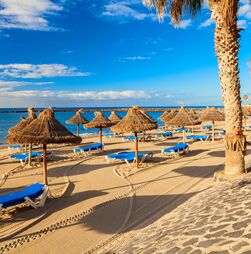 Tenerife: Um continente insular
