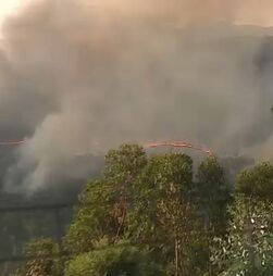 Incêndio florestal deflagra em Arouca
