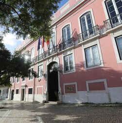 Socialista Miguel Coelho suspende mandato de deputado municipal em Lisboa