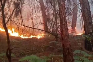 Moradores retirados de casa devido aos incêndios florestais em Itália