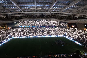 Mais uma homenagem marcante: Dragão às escuras, luzes nas bancadas e mulher de Jorge Costa no relvado