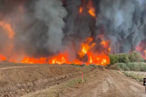 Incêndio florestal no Arizona consome quase 400 hectares 