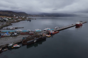 Autoridades de saúde argentinas descartam Ushuaia como origem do surto de hantavírus em cruzeiro