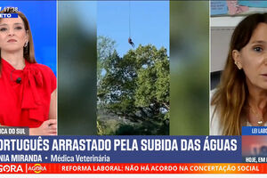 Corpo de português encontrado dentro de crocodilo. "Não consegue distinguir tipo de proteína"