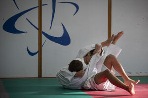 Técnicos de kumite acusados de violar regulamentos da federação de karaté