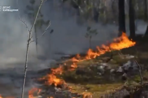 Incêndio florestal de grandes dimensões consome zona de exclusão de Chernobyl após queda de drone