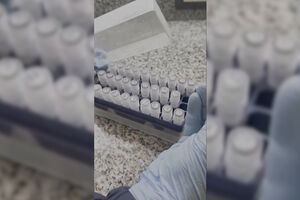 Cientistas trabalham em vacina após surto de hantavírus em cruzeiro