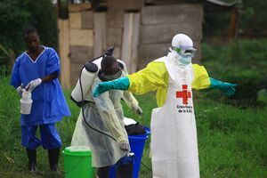 Surto de ébola no Congo preocupa