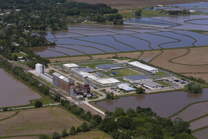 O Centro de Processamento do ICE do Sul da Louisiana 