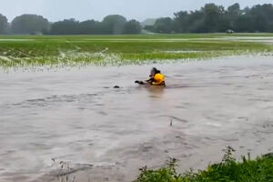 Bombeiro mergulha em cheias para resgatar cria de veado nos EUA