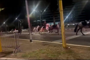Dezenas de cavalos invadem uma das avenidas mais movimentadas de Roma