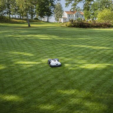 Jardim relvado com máquina de cortar relva automática para grandes áreas.
