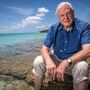 David Attenborough: aos 100 anos, o fascínio pela vida continua 