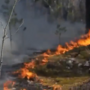 Incêndio florestal de grandes dimensões consome zona de exclusão de Chernobyl após queda de drone