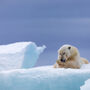 Como o arquipélago norueguês Svalbard poderá ser o próximo alvo da corrida ao Ártico