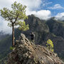 La Palma, entre vinhas e vulcões