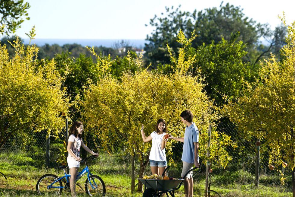 Crianças no exterior do Conversas de Alpendre Turismo Rural