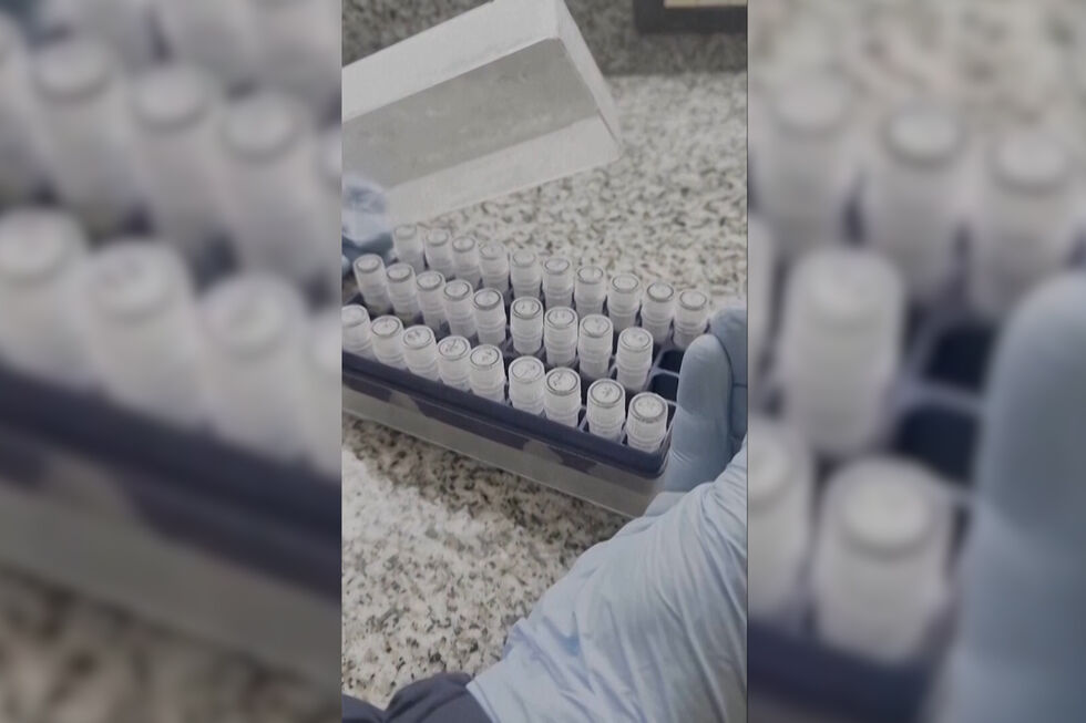 Cientistas trabalham em vacina após surto de hantavírus em cruzeiro