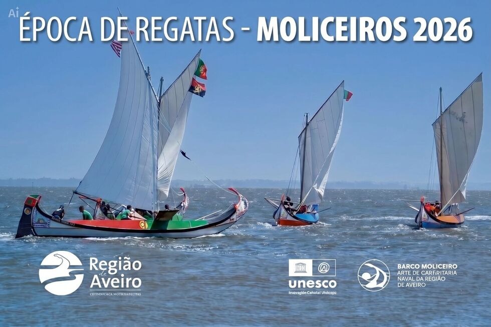 Época de Regatas Moliceiros 2026 na Região de Aveiro após distinção da UNESCO