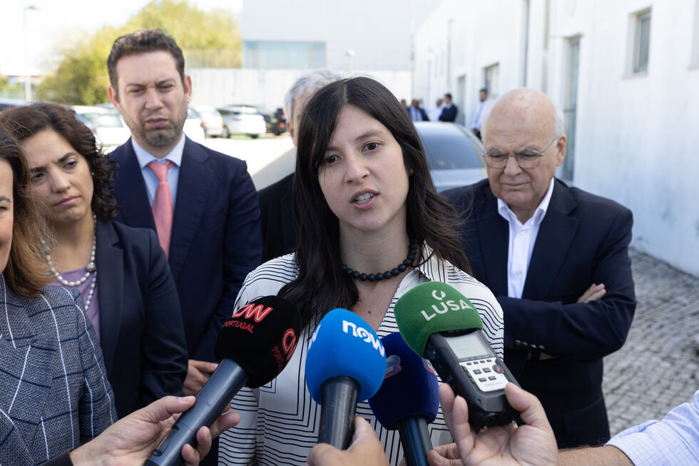 Rita Sá-Machado, diretora-geral da Saúde