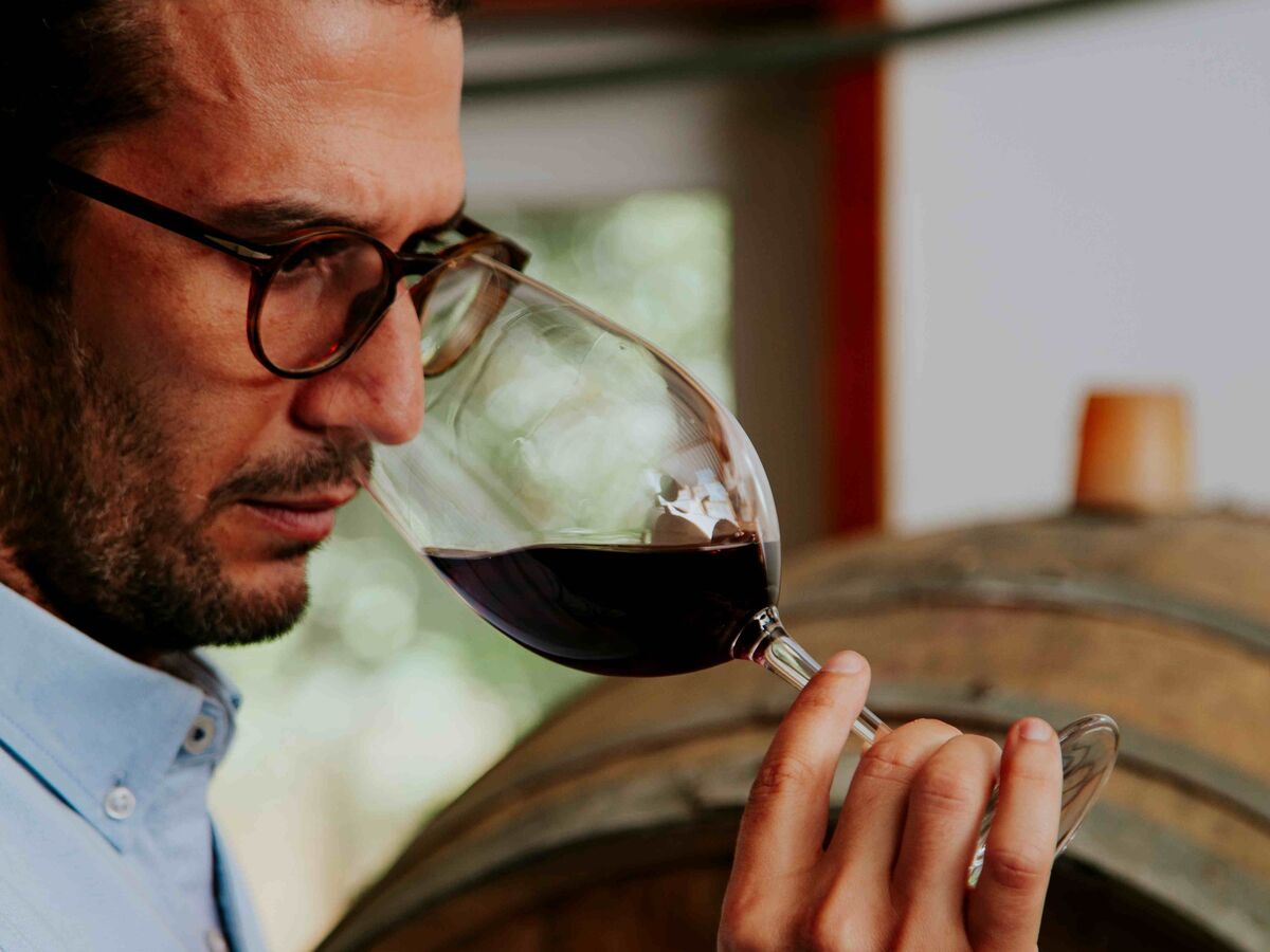 Infinitude: vinhos de Sintra cada vez mais próximos