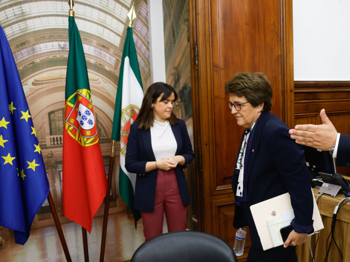 Santa Casa. A CPI pariu um rato 