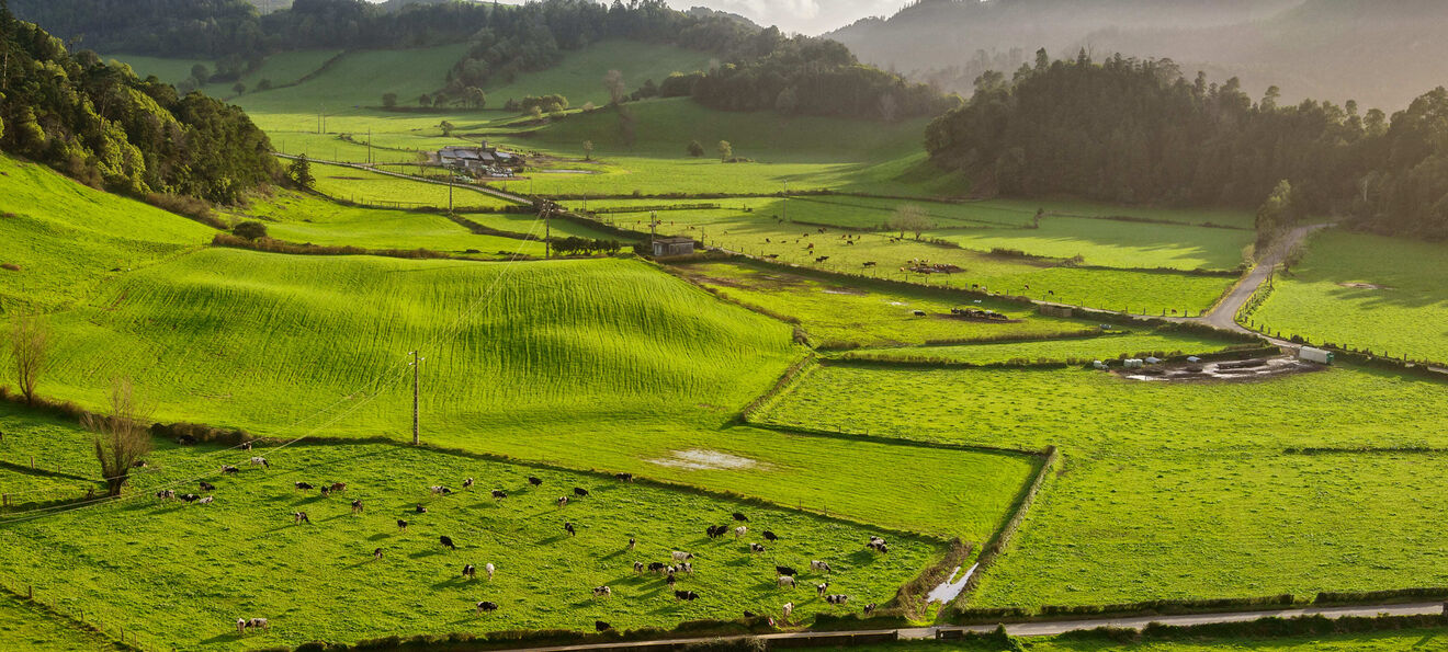 A agricultura faz parte da identidade da região.