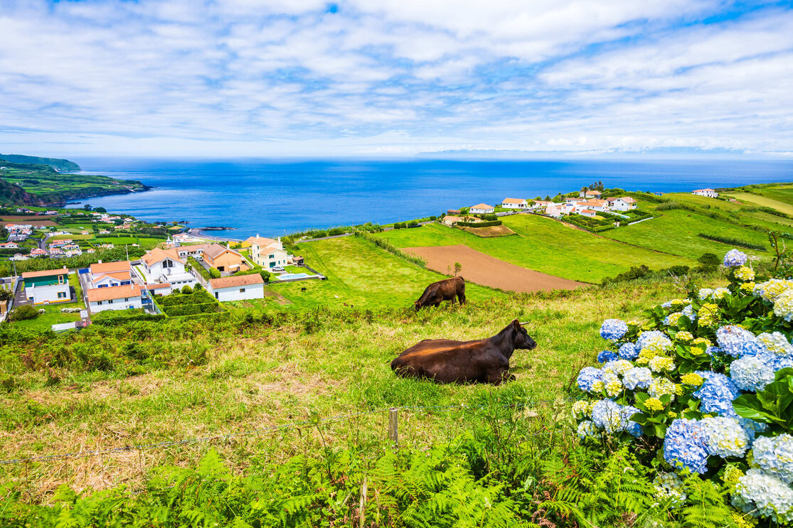Faial