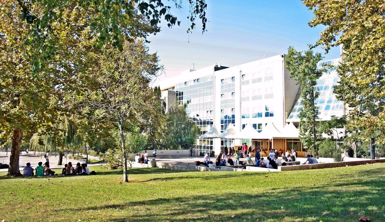 Universidade Portucalense