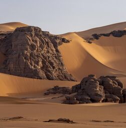 Quarenta e nove pessoas morreram de sede após avaria de camião no deserto