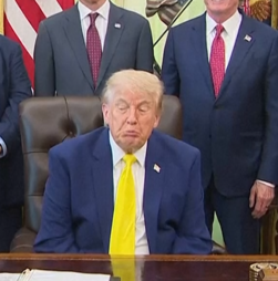 Trump diz que “seria ótimo” se Putin e Zelensky se encontrassem