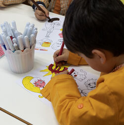 Fundação leva literacia financeira às escolas: 'Estamos a criar uma geração de consumidores responsáveis'