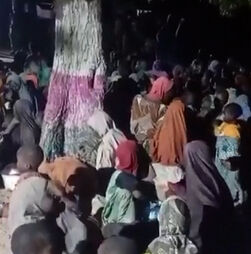 Exército nigeriano liberta 360 pessoas sequestradas no estado de Borno